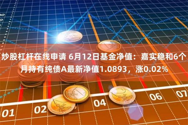 炒股杠杆在线申请 6月12日基金净值：嘉实稳和6个月持有纯债A最新净值1.0893，涨0.02%