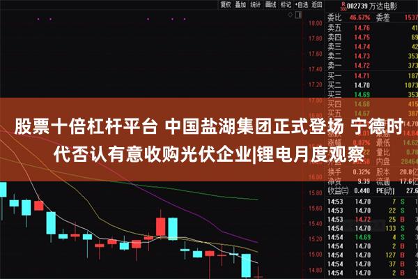 股票十倍杠杆平台 中国盐湖集团正式登场 宁德时代否认有意收购光伏企业|锂电月度观察