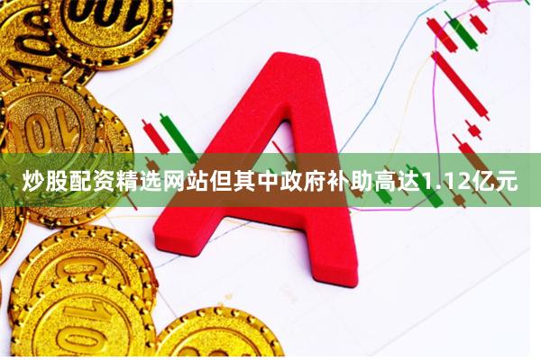 炒股配资精选网站但其中政府补助高达1.12亿元